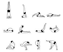 12 asana